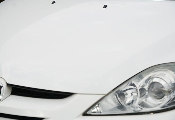 FUSSO COAT 12 MONTHS WAX L - Elpis Auto