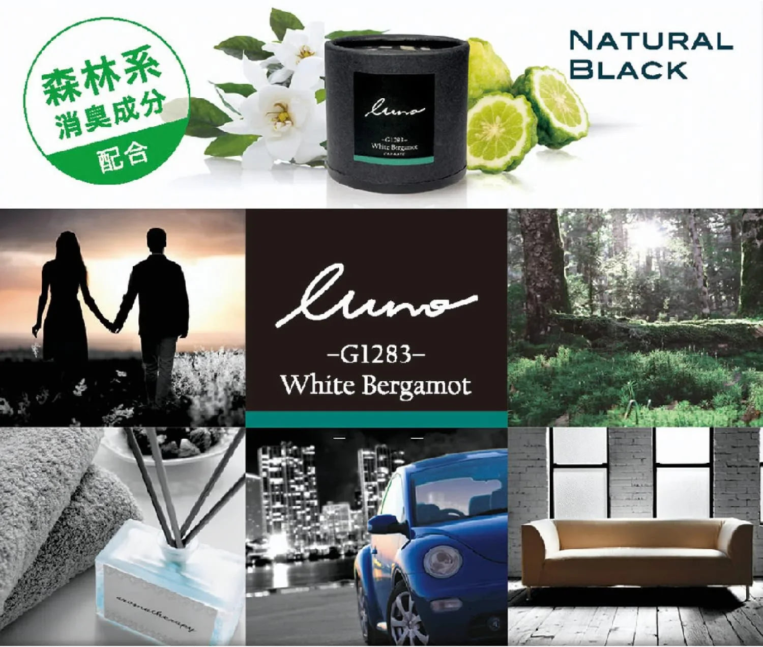 Luna White Bergamot car air freshener with natural black design, forest scent, and citrus notes for fresh car interiors