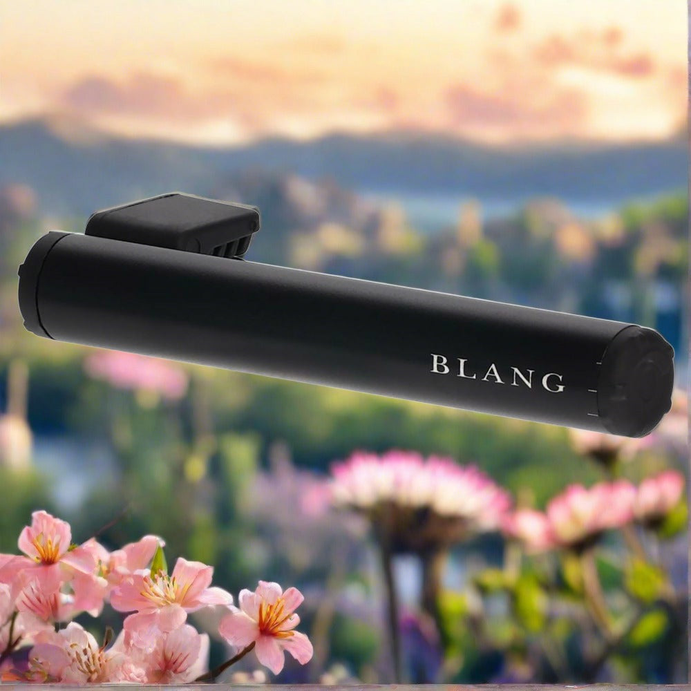 Blang Air Control Stick Classic Musk - Elpis Auto