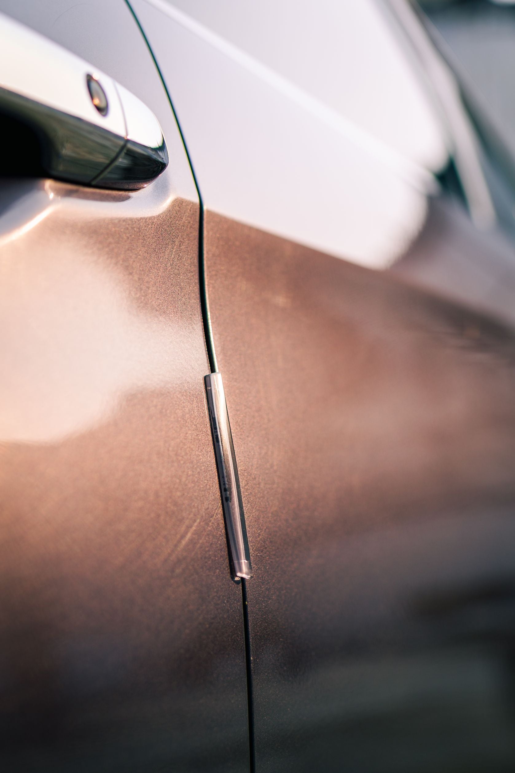 Door Protector- Black - Elpis Auto