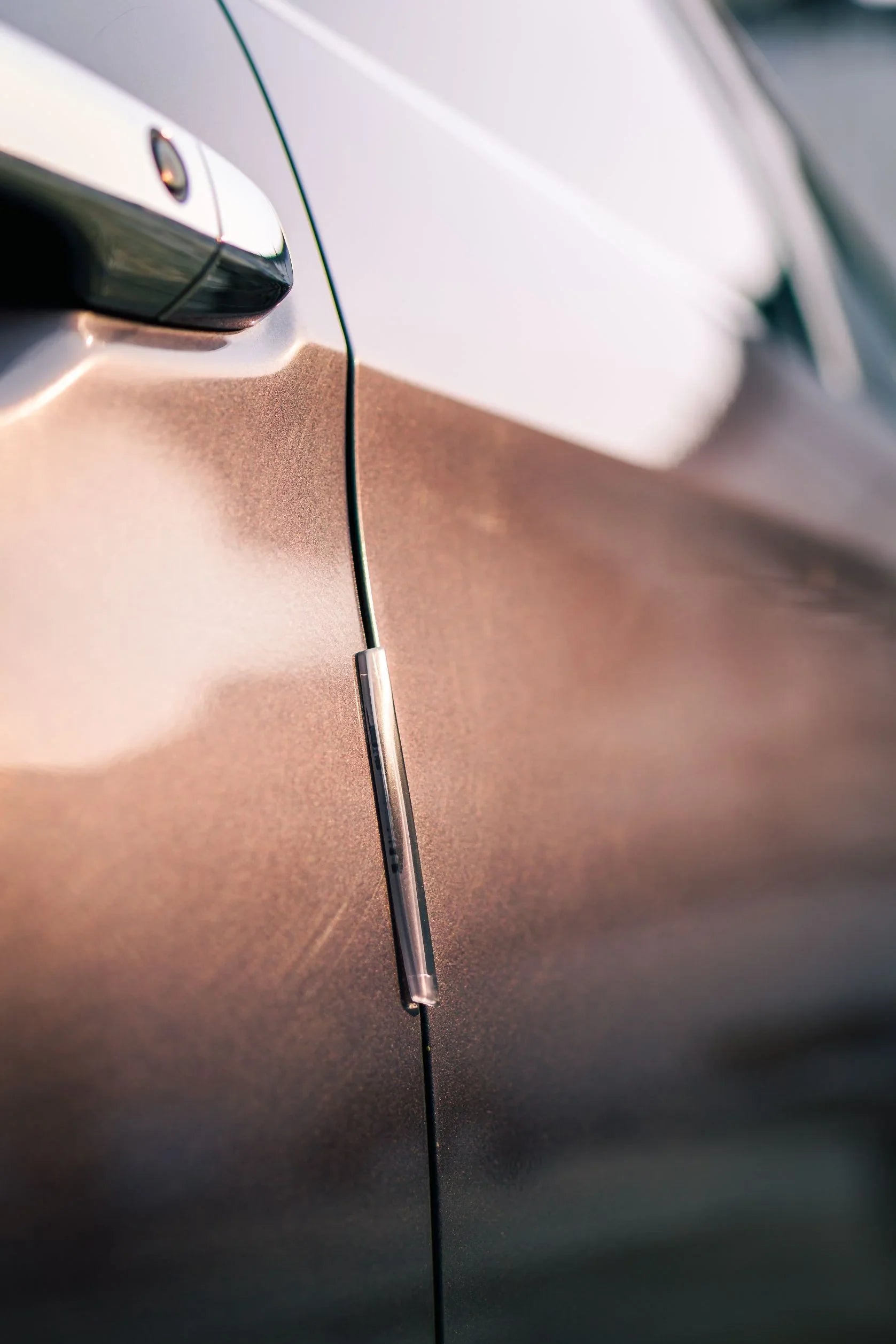 Door Protector- Black - Elpis Auto
