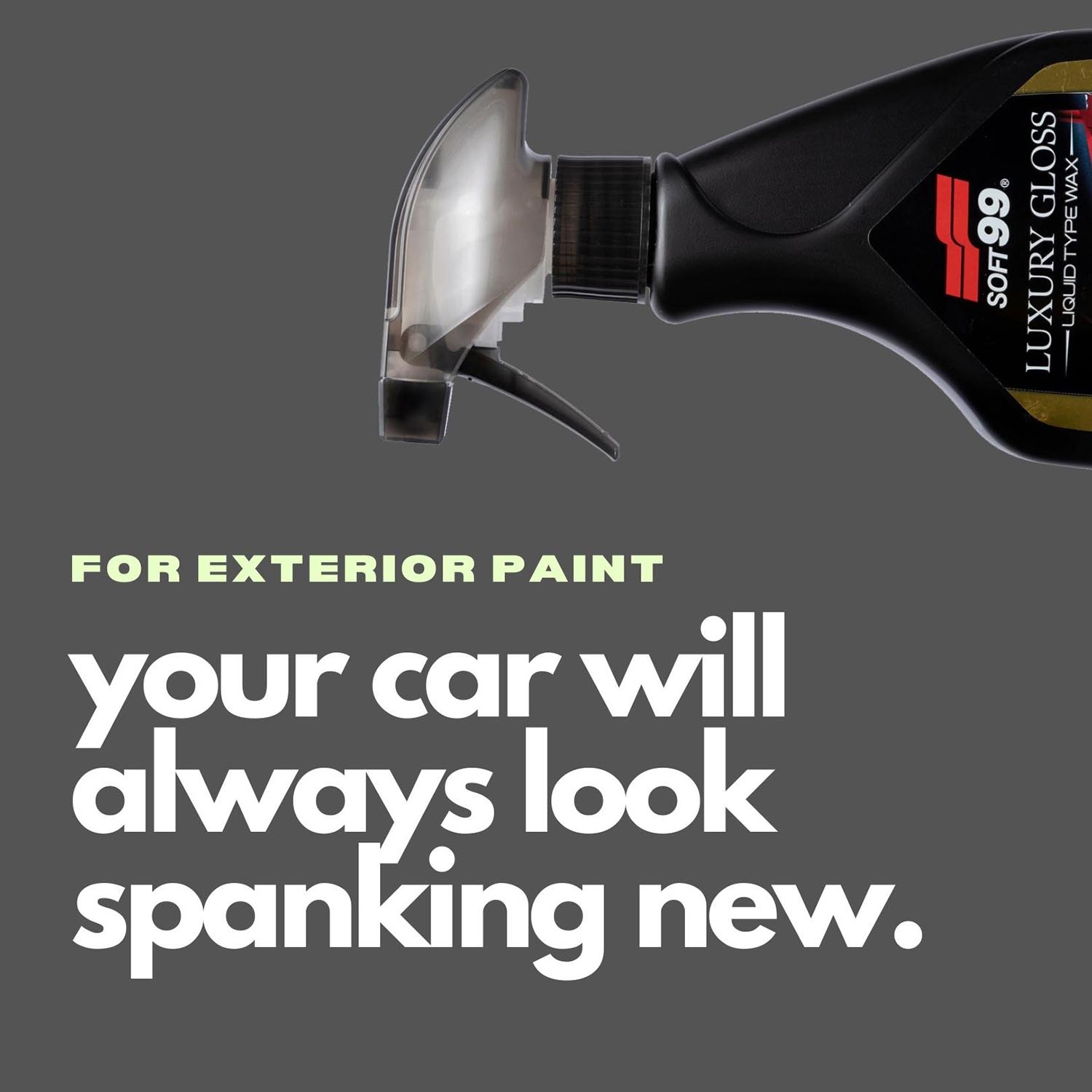 Luxury Gloss For Exterior Paint - Elpis Auto