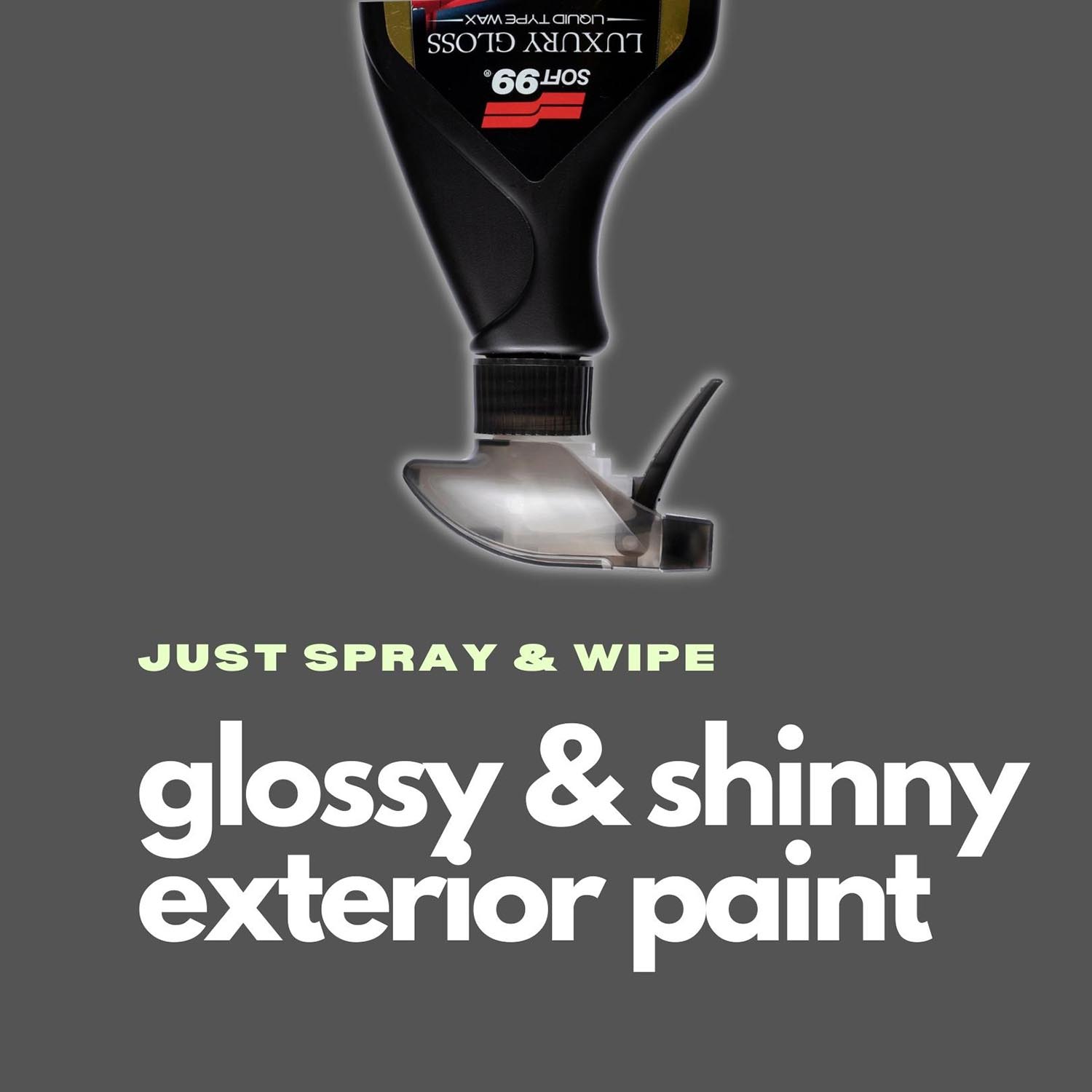 Luxury Gloss For Exterior Paint - Elpis Auto