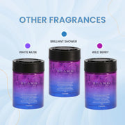 Carmate BLANG Diamond Musk Gel Car Perfume – Luxury Musk & Floral Gel Fragrance (160g)