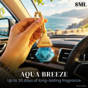 oiva car hanging perfume-delta series