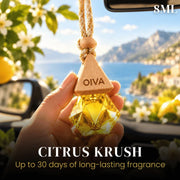 OIVA car hanging perfume Delta Series – best car perfume India Citrus Krush variant