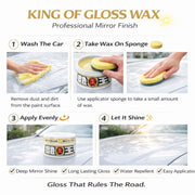 THE KING OF GLOSS W