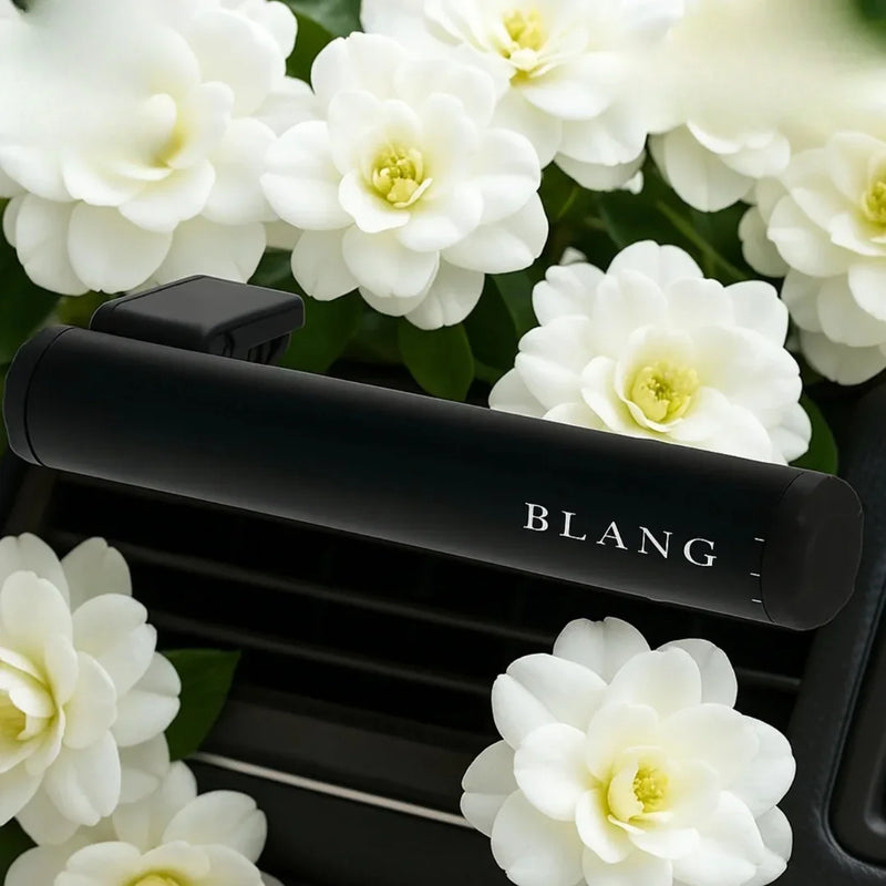 Blang Air Control Stick Luxury Savon