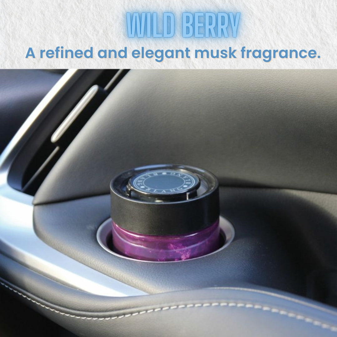 Carmate BLANG Gel Car Perfume Wild Berry – Luxury Long-Lasting Air Freshener with Musk & Floral Notes, 160g Deodorizing Gel by Carmate